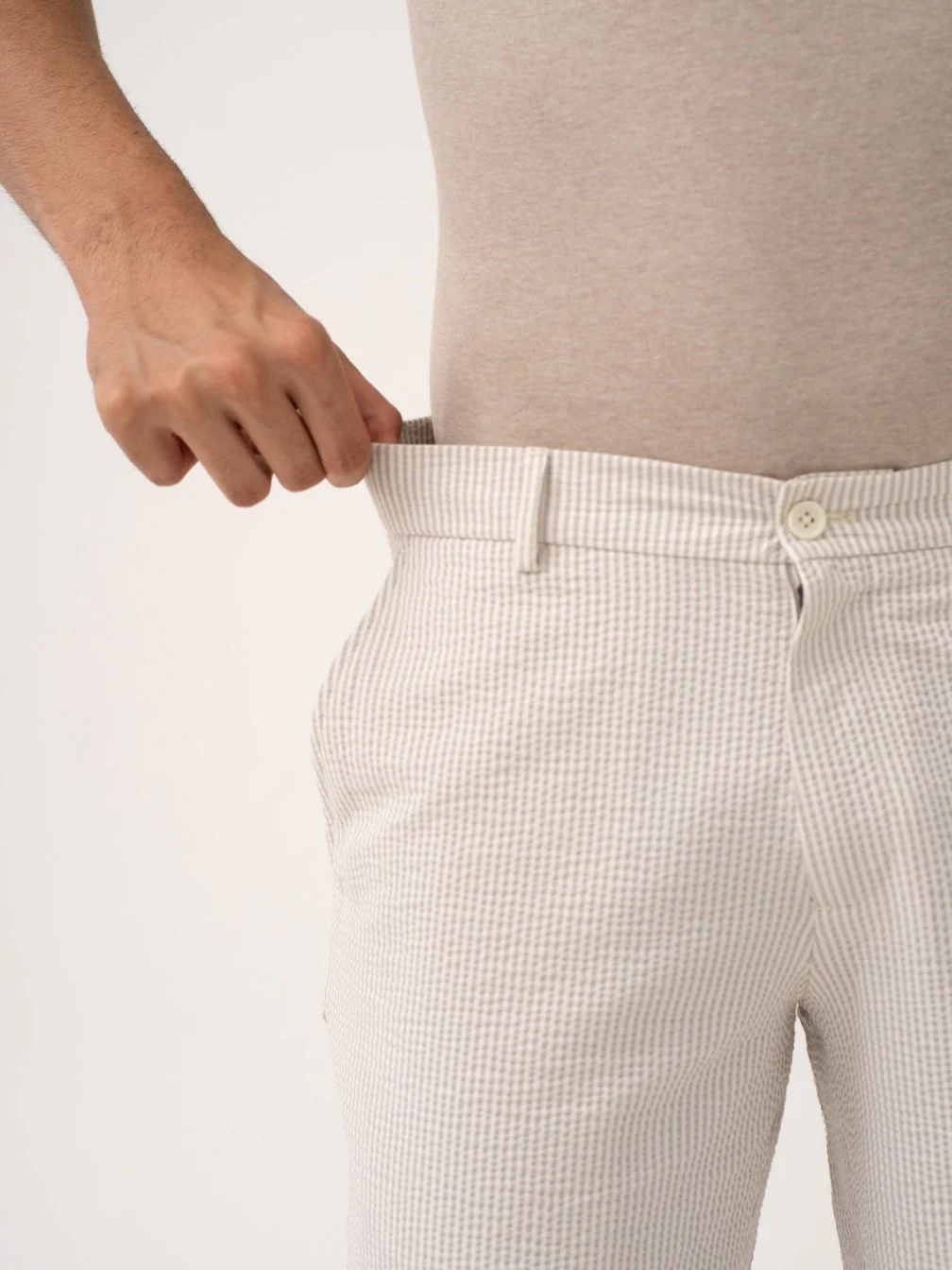 Terrain Taupe Stripes Seersucker Chino Shorts - Image 6